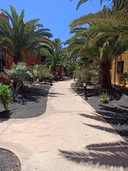 Apartment Cumbre Vieja Fuerteventura Corralejo Exterior photo